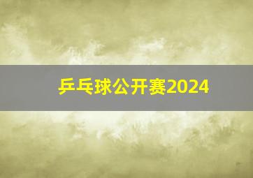 乒乓球公开赛2024