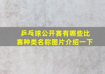 乒乓球公开赛有哪些比赛种类名称图片介绍一下