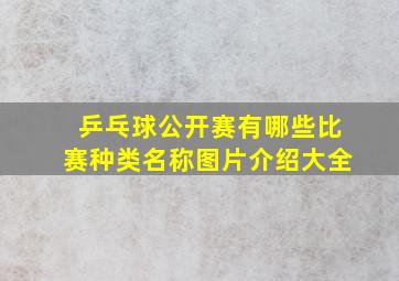 乒乓球公开赛有哪些比赛种类名称图片介绍大全