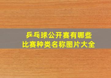 乒乓球公开赛有哪些比赛种类名称图片大全