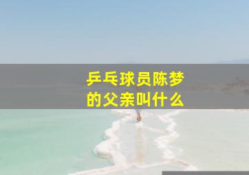 乒乓球员陈梦的父亲叫什么