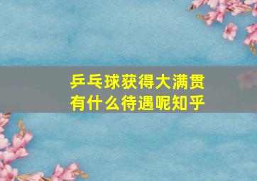 乒乓球获得大满贯有什么待遇呢知乎