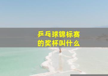 乒乓球锦标赛的奖杯叫什么