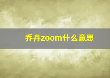 乔丹zoom什么意思