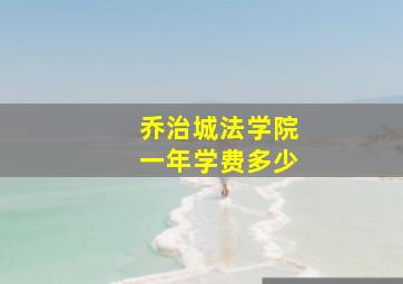 乔治城法学院一年学费多少