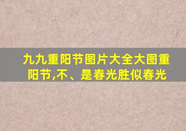 九九重阳节图片大全大图重阳节,不、是春光胜似春光