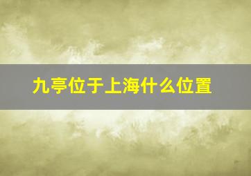 九亭位于上海什么位置