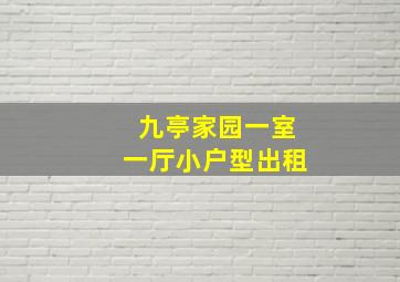 九亭家园一室一厅小户型出租