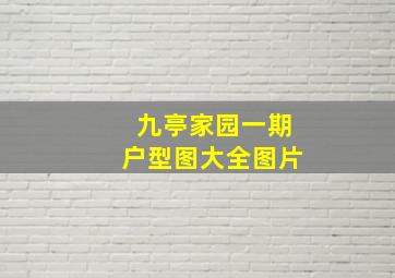 九亭家园一期户型图大全图片