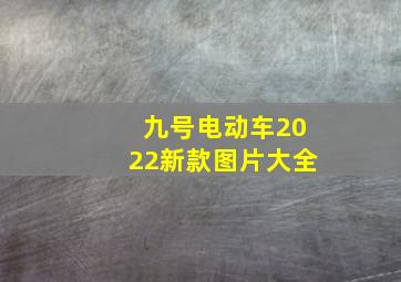 九号电动车2022新款图片大全