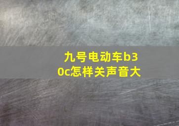 九号电动车b30c怎样关声音大