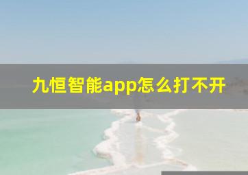 九恒智能app怎么打不开