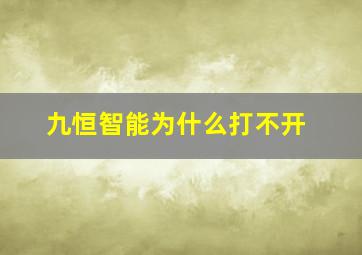 九恒智能为什么打不开