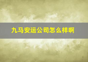 九马安运公司怎么样啊