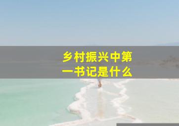 乡村振兴中第一书记是什么