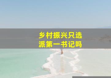 乡村振兴只选派第一书记吗