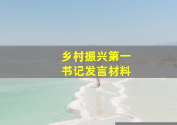 乡村振兴第一书记发言材料