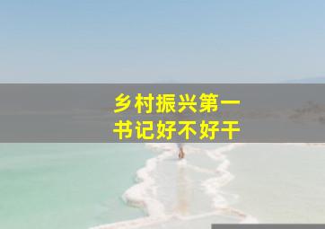 乡村振兴第一书记好不好干