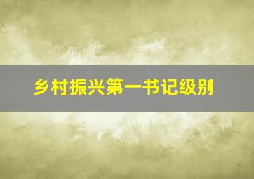 乡村振兴第一书记级别