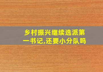 乡村振兴继续选派第一书记,还要小分队吗