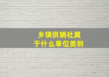 乡镇供销社属于什么单位类别