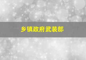 乡镇政府武装部