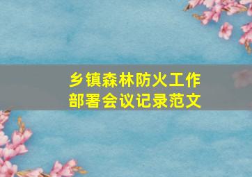 乡镇森林防火工作部署会议记录范文