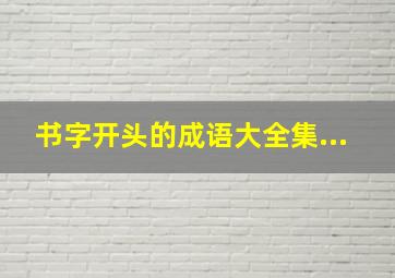 书字开头的成语大全集...