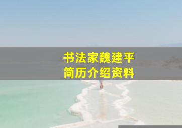 书法家魏建平简历介绍资料