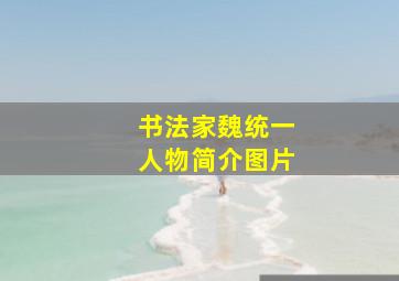 书法家魏统一人物简介图片