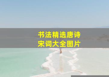 书法精选唐诗宋词大全图片