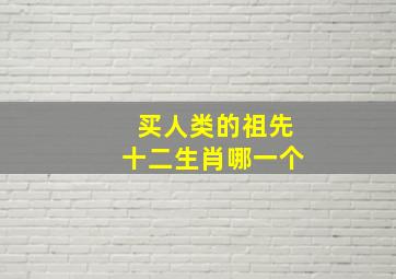 买人类的祖先十二生肖哪一个