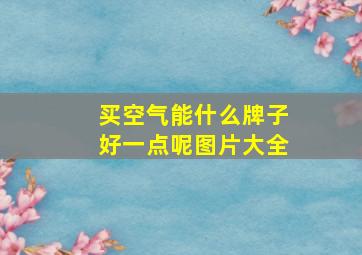 买空气能什么牌子好一点呢图片大全