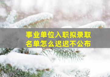 事业单位入职拟录取名单怎么迟迟不公布