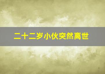 二十二岁小伙突然离世