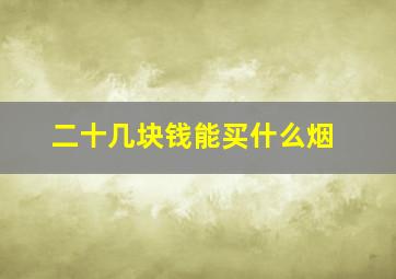 二十几块钱能买什么烟