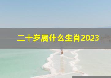 二十岁属什么生肖2023