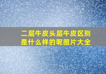 二层牛皮头层牛皮区别是什么样的呢图片大全