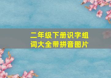 二年级下册识字组词大全带拼音图片