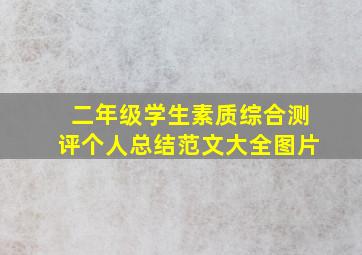 二年级学生素质综合测评个人总结范文大全图片