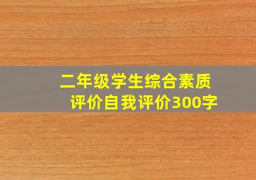 二年级学生综合素质评价自我评价300字