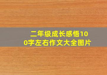 二年级成长感悟100字左右作文大全图片