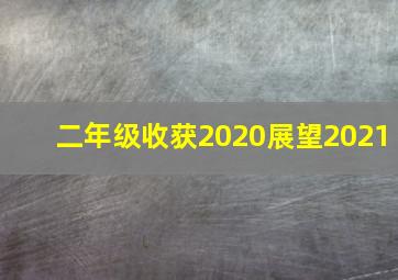 二年级收获2020展望2021