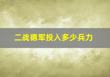 二战德军投入多少兵力