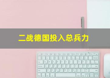 二战德国投入总兵力