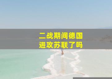 二战期间德国进攻苏联了吗