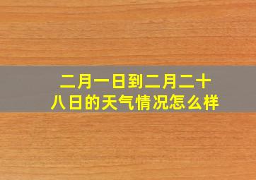 二月一日到二月二十八日的天气情况怎么样