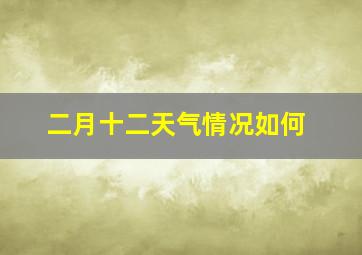 二月十二天气情况如何