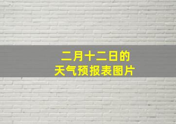 二月十二日的天气预报表图片