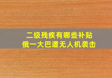 二级残疾有哪些补贴俄一大巴遭无人机袭击